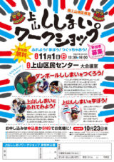 デザイン チラシ