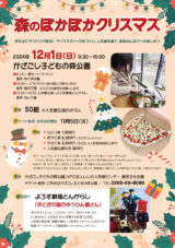 デザイン フライヤー チラシ